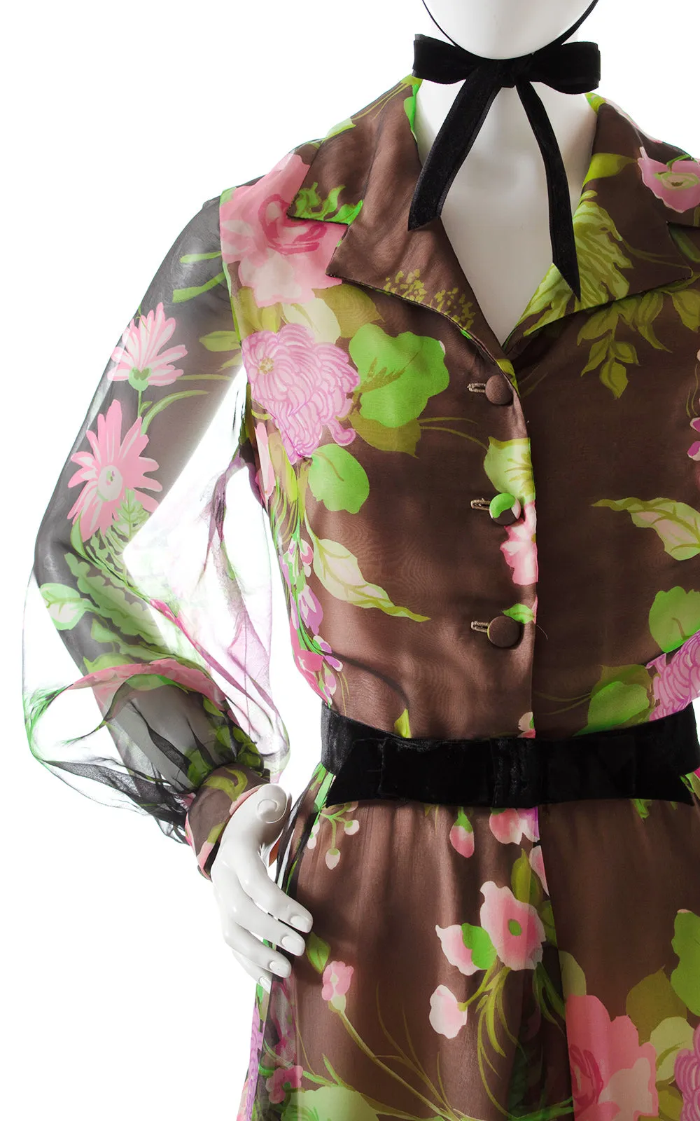 1970s Floral Fern Chiffon Balloon Sleeve Maxi Dress | medium
