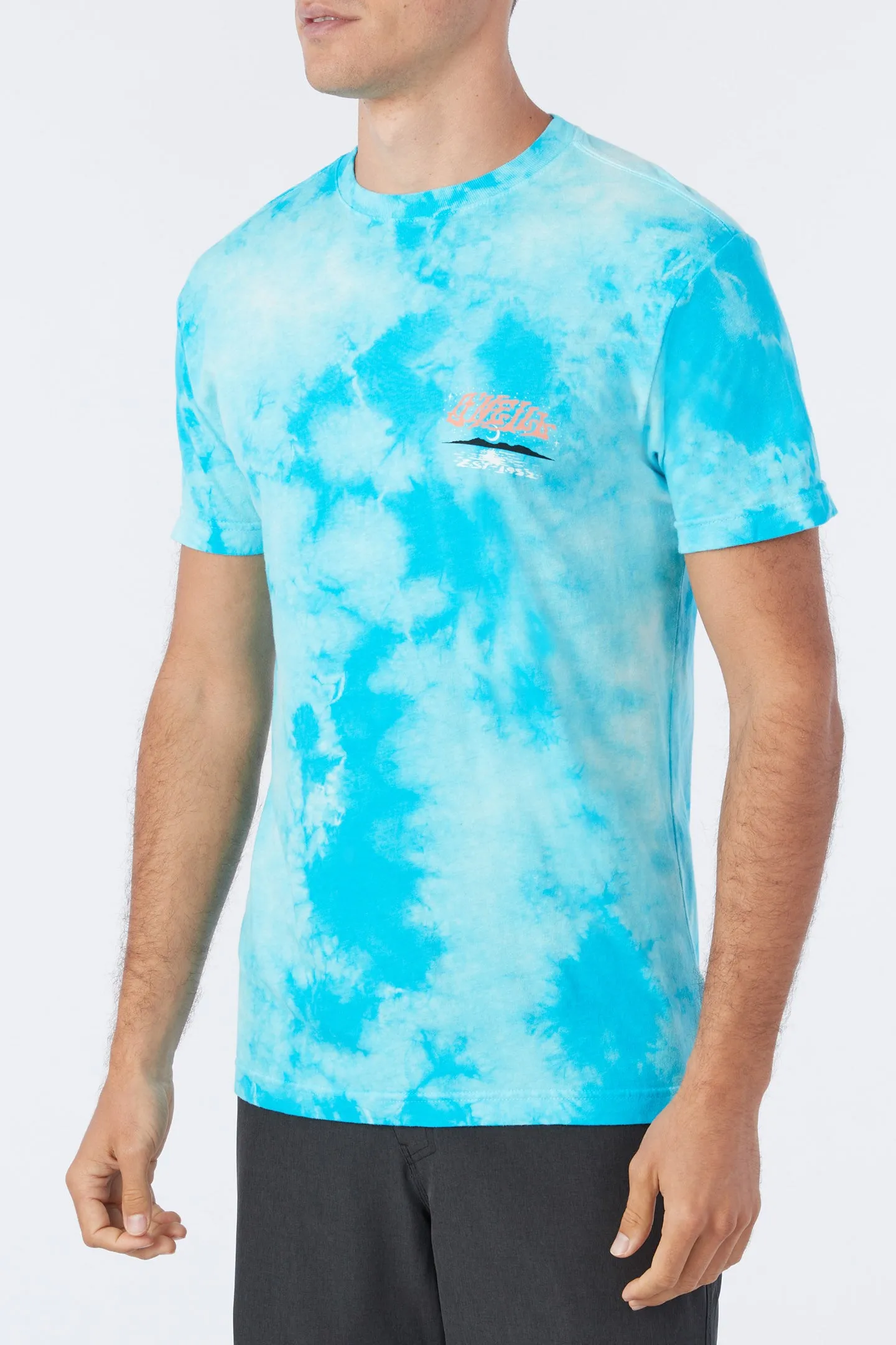HIGH POINT ARTIST SERIES TEE