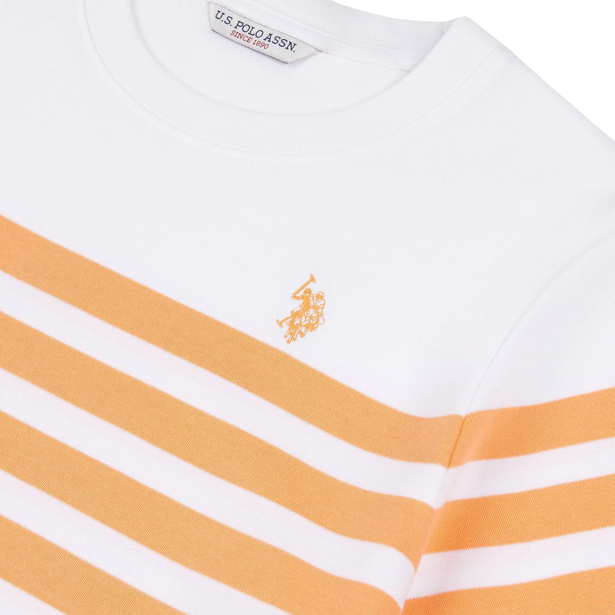 Womens Regular Fit Engineered Stripe T-Shirt in Mock Orange